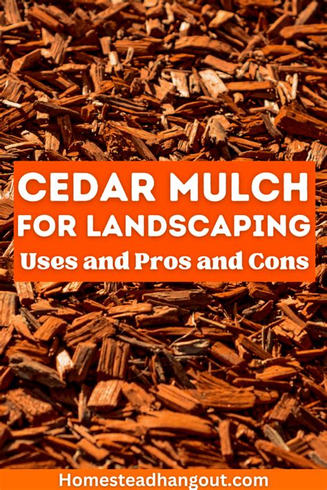 cedar mulch pros and cons.